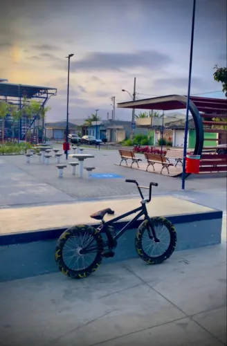 Bmx profissional 