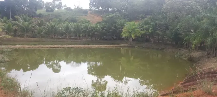 Bela propriedade em Ibiraçu