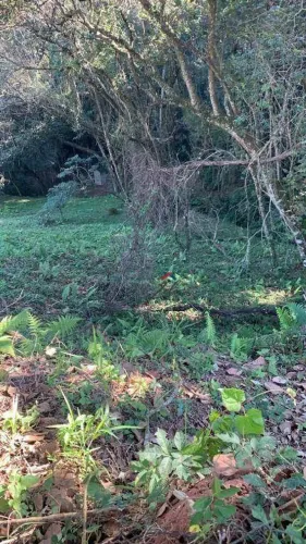 Terreno à venda, 1363 m² por R$ 180.000 - Condomínio Bothanica Jarinu - Jarinu/SP