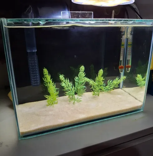 Aquario