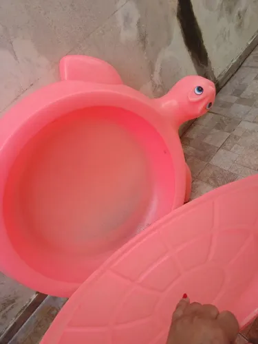 Piscina tartaruga