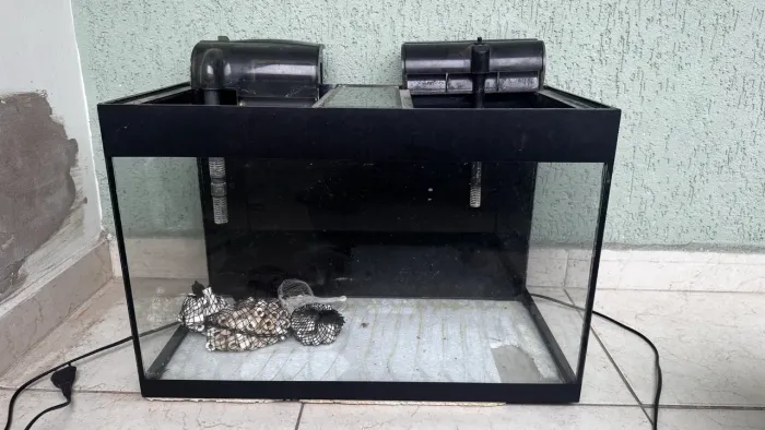 Aquário 72L