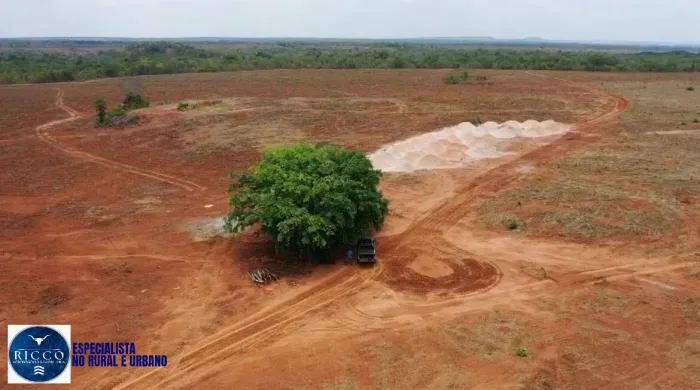 Fazenda à Venda em Tupiratins/TO 127 Alqueires | Dupla Aptidão