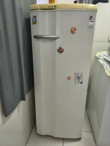 Geladeira Electrolux 1 Porta com Congelador (Usado)
