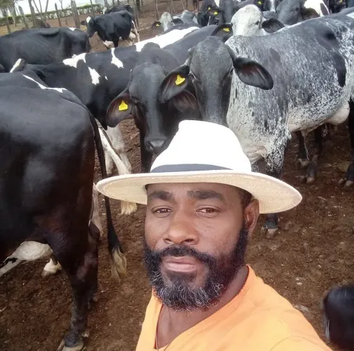 Procuro por serviço agropecuária fazenda ? sítio etc lidar com gado de leite e corte