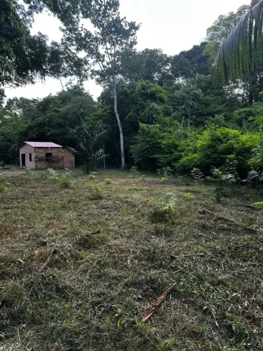 vendo esse lindo terreno no bituba em benevides