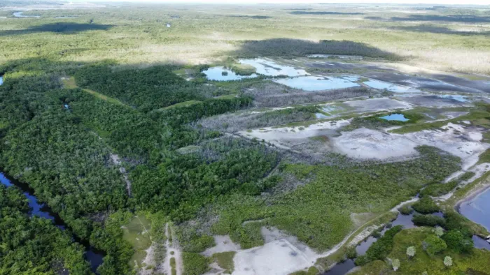 fazenda com 500 hectares em Canguaretama excelente para crédito de carbono azul