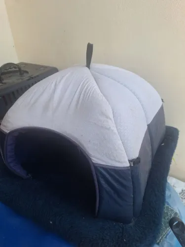 Casinha pet Iglu