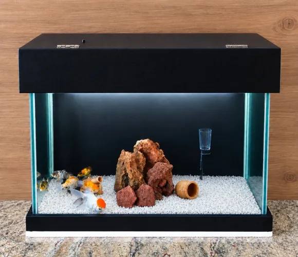 AQUÁRIO 60 LITROS COMPLETO- (LEIA DESCRIÇÃO EM ANÚNCIO)