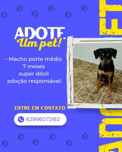 Doação responsável