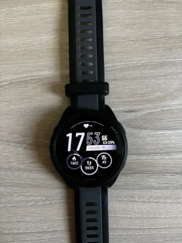 GARMIN 165