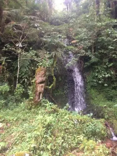 Sítio em Urubici/Rio Rufino/área rural /chácara