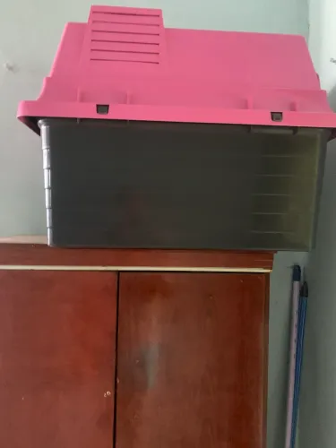Casinha pet número 5
