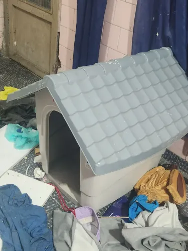 Casa para cachorro pequeno e mesionporte