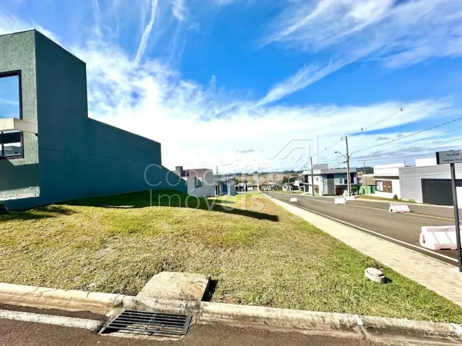 Condomínio Reserva Ecoville I - Terreno Com 230 M²