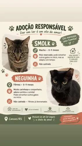 Adoção