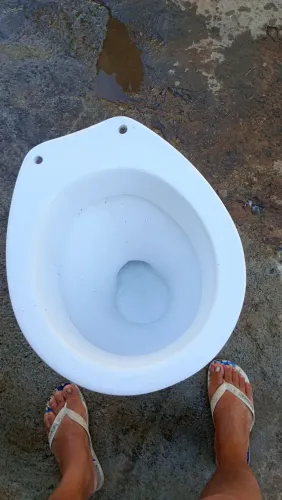 Vendo esse vaso semi-novo 