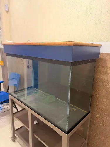 Aquário 250 litros