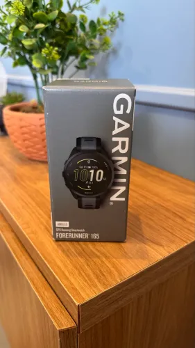 Garmin 165