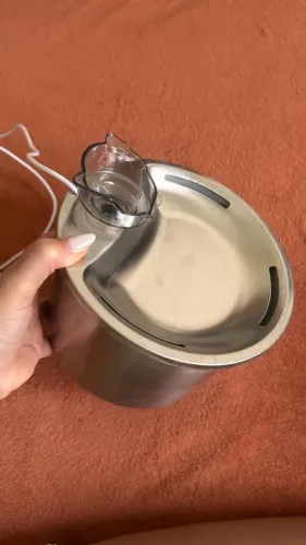 Filho de água para gatos