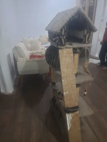 Arranhador