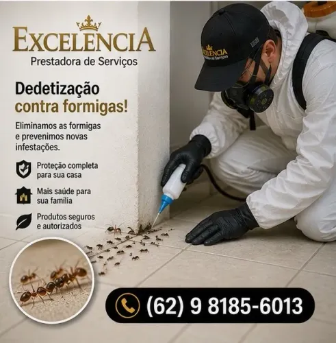 dedetizadora de formigas