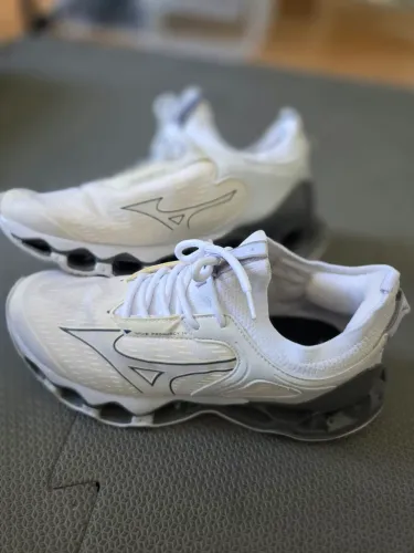 Mizuno wave 14