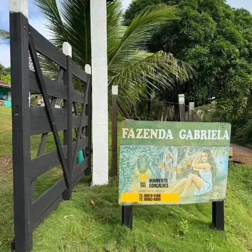 FAZENDA À VENDA EXCELENTE OPORTUNIDADE - Estrada do Japu/ Ilhéus-ITABUNA - BR 415