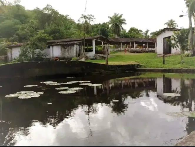 EXELENTE CHACARA EM ALDEIA PROXIMO A FONTE DE AGUA MINERAL SANTA CLARA