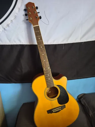 Violão DiGiorgio f101