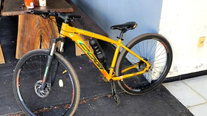 Bicicleta