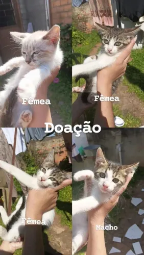 Doa se