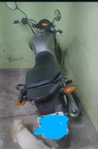 Cg tinta Fan