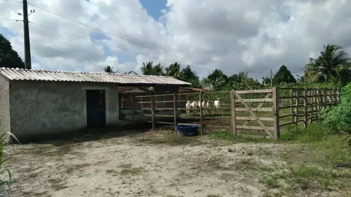 Granja com 1.1 hectares em Canguaretama