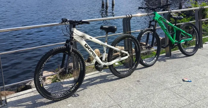 Vendo Gios frx
