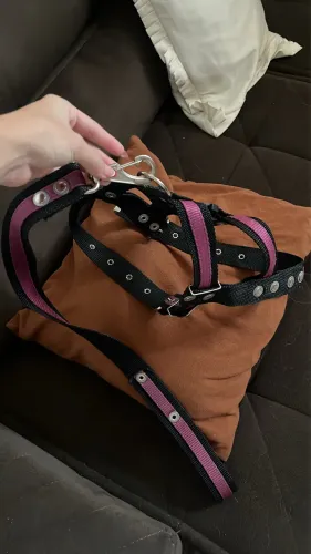 Coleira nova usada 2 vezes estou vendendo pois nao cabe mais na minha cachorra
