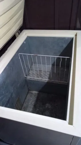 Freezer Electrolux