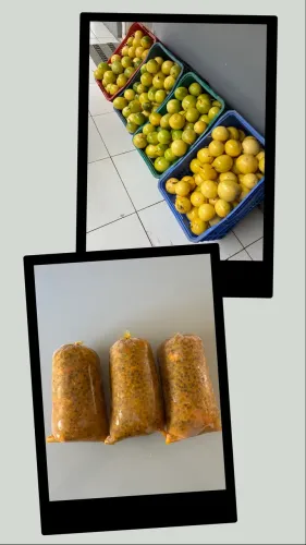 Vendo poupas de maracujás,produtos excelentes e a caixas dele tbem c