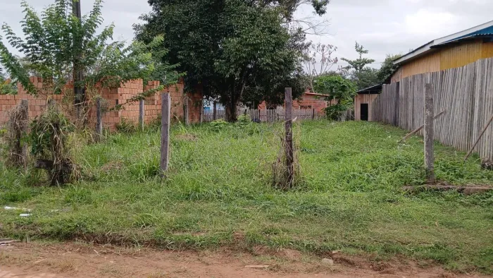 Papel de compra e venda 