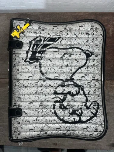 Fichário escolar do Snoopy