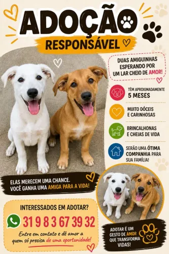 Doação