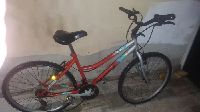 Bicicleta 