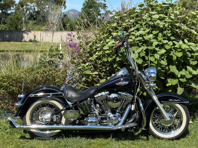 Harley Davidson - Softail Deluxe Chicana