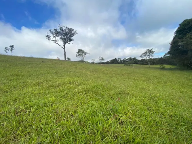Chacaras em sanra Terezinha itatiaucu