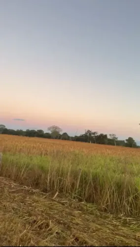Fazenda a venda, em São Domingos / Goiás!