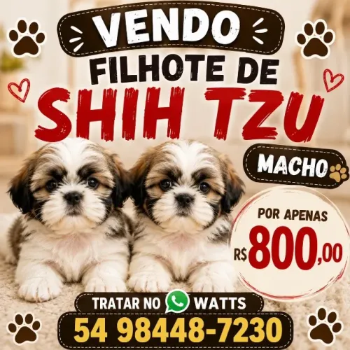 Cachorro