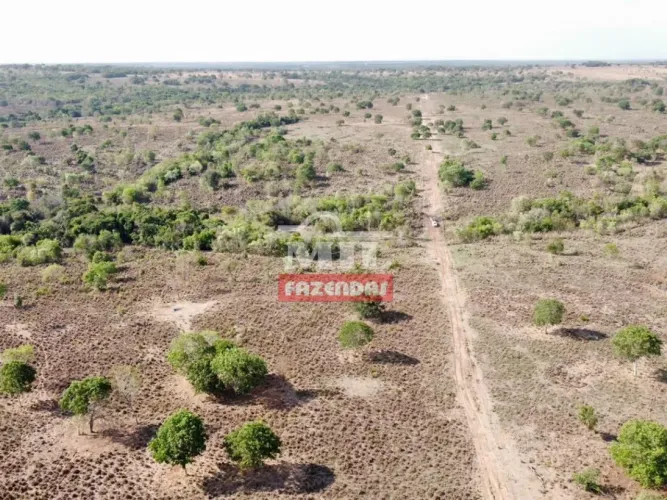 Fazenda 48 Alqueires (232 Hectares) Nova Crixás - GO