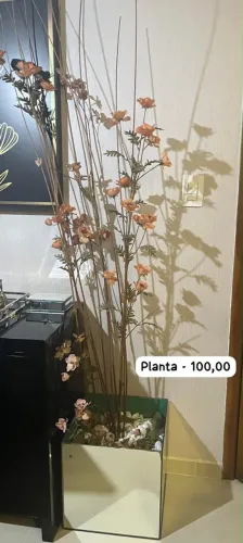 Planta 