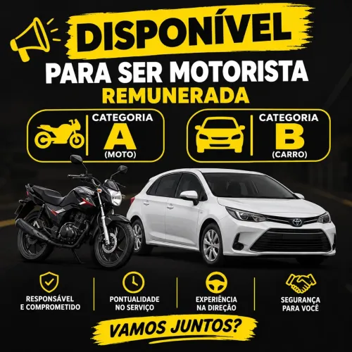 Motorista particular
