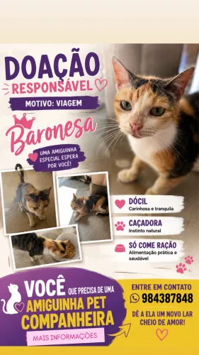 DOAÇÃO RESPONSÁVEL 